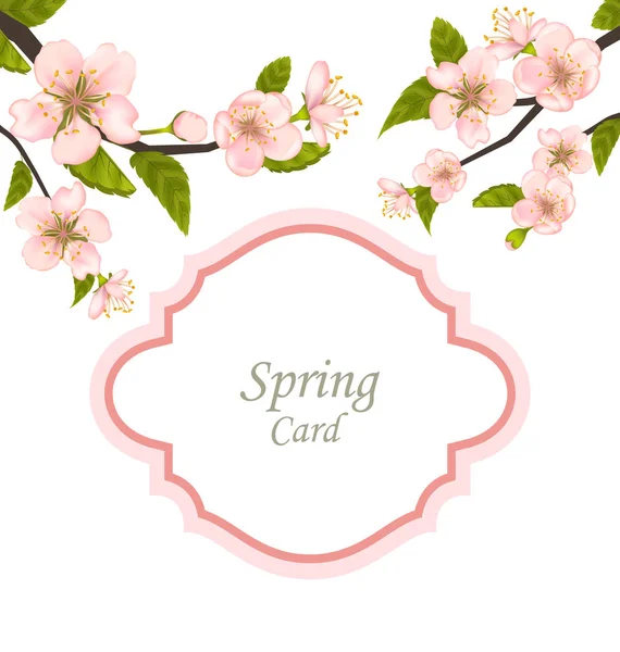 Cartão Primavera elegante com ramos de árvore florescente — Fotografia de Stock
