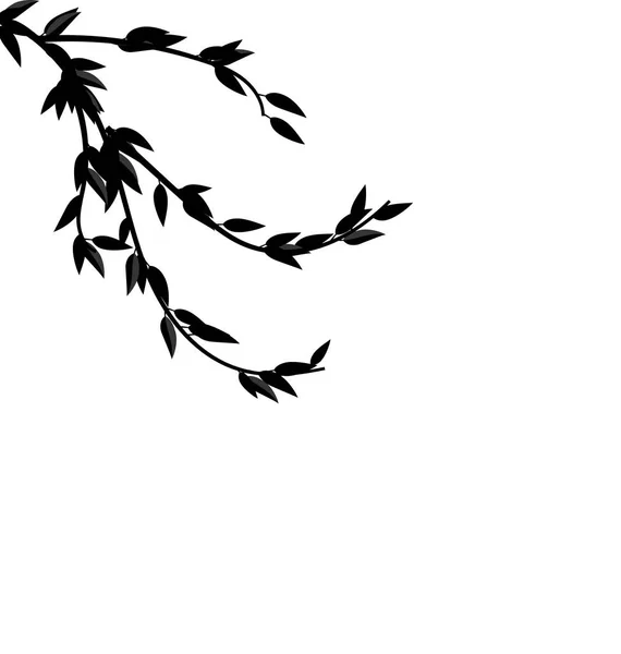 Zwart silhouet Branch boom met bladeren — Stockfoto