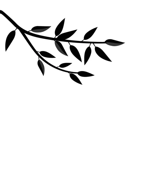 Árvore de ramo de silhueta preta com folhas — Fotografia de Stock