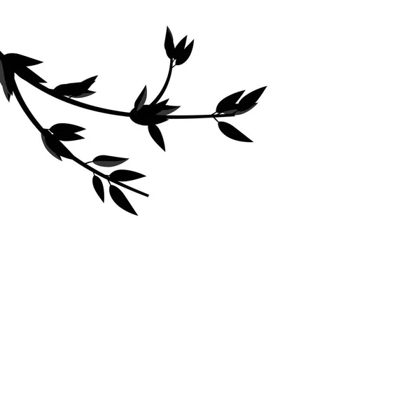 Černá silueta větev stromu s listovým — Stock fotografie