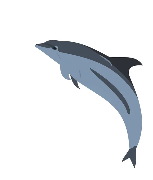 Realistic illustration of a dolphin — Stock Photo, Image