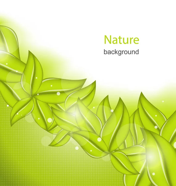 Sfondo Natura con Foglie Verde Eco — Foto Stock