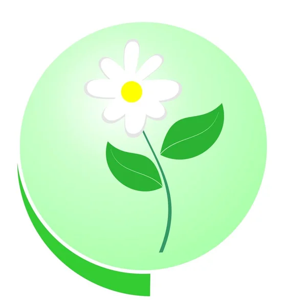 Οικολογικό πράσινο κουμπί — Φωτογραφία Αρχείου