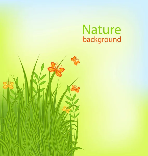 Summer Background with Grass and Butterflies — Stock Photo, Image