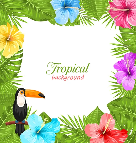 Trópusi háttér Toucan Bird, színes hibiszkusz virágok — Stock Fotó