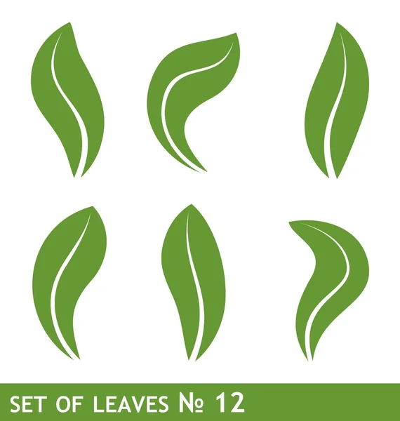 Ilustración del juego de hojas para el diseño — Foto de Stock