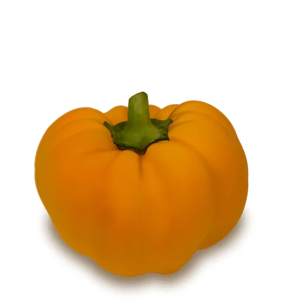 Foto realistisk pumpa vegetabiliska — Stockfoto