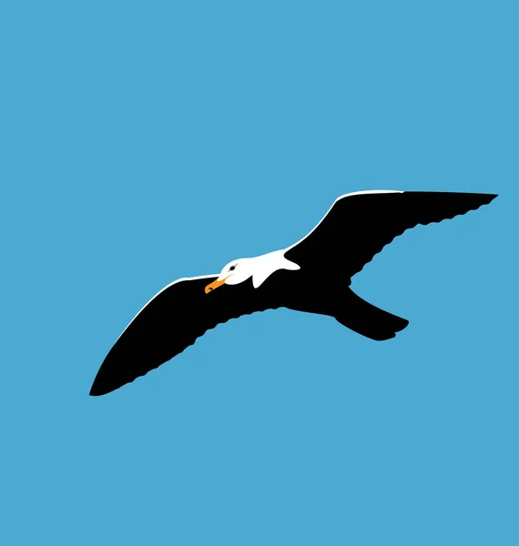 Mouette montante dans le ciel bleu, oiseaux de mer isolés sur fond bleu — Photo