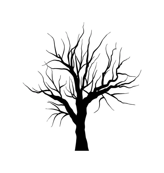 Sketch of dead tree without leaves , isolated on white backgroun — Stock Photo, Image