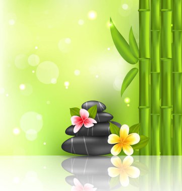 Meditasyon oryantal arka plan ile frangipani, bambu ve yığın