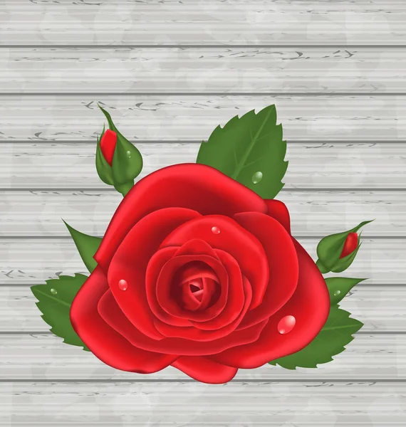 Красная роза крупным планом на День Святого Валентина на деревянном фоне — стоковое фото
