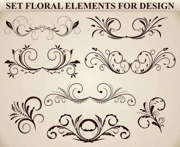 Set of ornate floral element — Stock Photo, Image