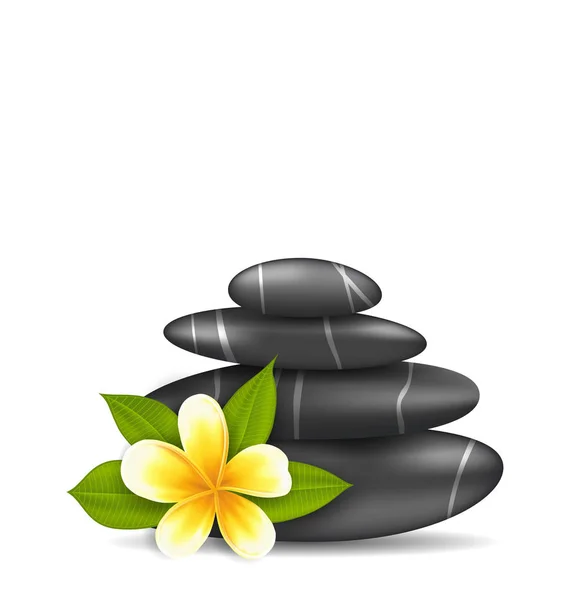 Frangipani virág plumeria és piramis Zen Spa kövek, Isolat — Stock Fotó