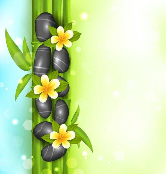 竹、石、フランジパニの花とスパ治療法の背景 — ストック写真