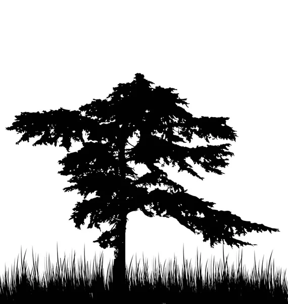 Árvore e grama em silhueta são isolados em fundo branco — Fotografia de Stock