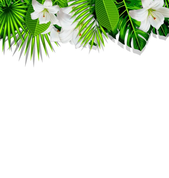 Rama oddział tropikalne liście i białe kwiaty lilia — Zdjęcie stockowe