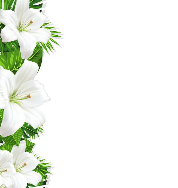 Frame gren tropiska blad och vita blommor lily — Stockfoto