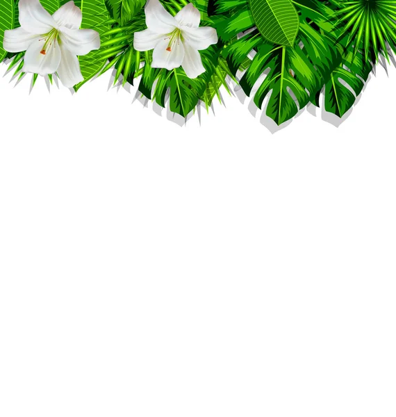 Rama marco hojas tropicales y flores blancas lirio —  Fotos de Stock