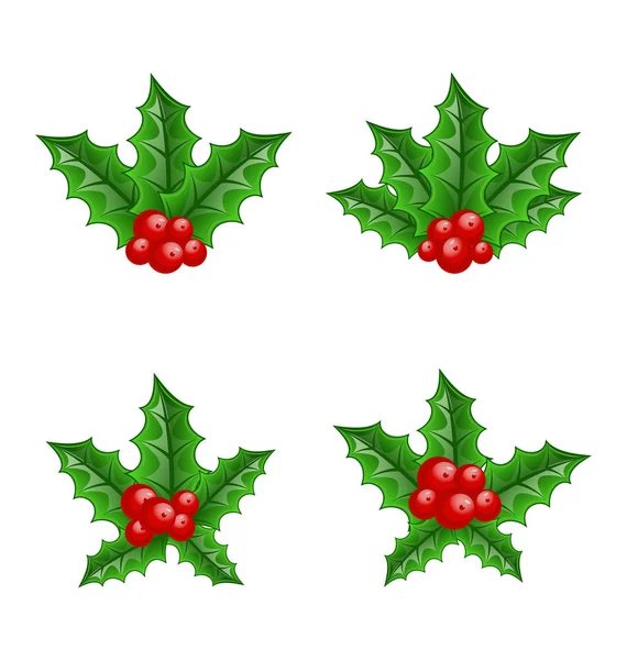 Kerstmis instellen holly berry takken geïsoleerd op witte achtergrond — Stockfoto