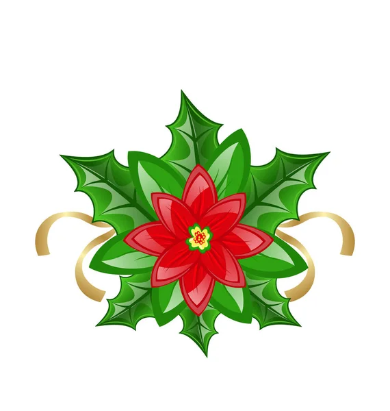 Flor poinsettia para la decoración de Navidad — Foto de Stock