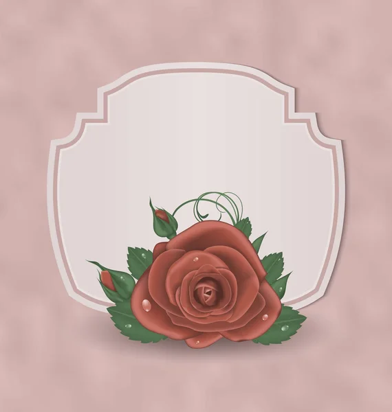 Ретро мила листівка з червоною трояндою — стокове фото