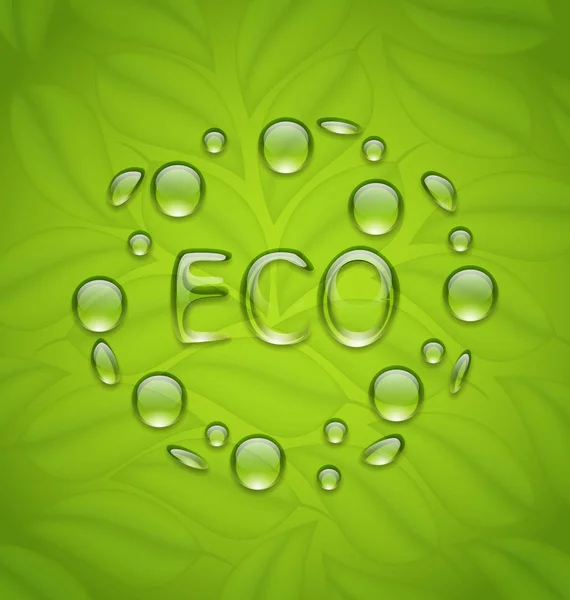 Fondo ecológico con gotas de agua en hojas verdes frescas t — Foto de Stock