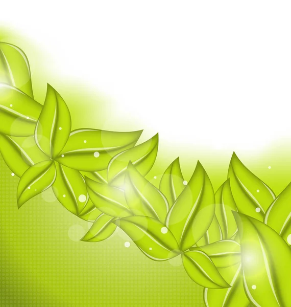 Fundo de ecologia com folhas verdes eco — Fotografia de Stock