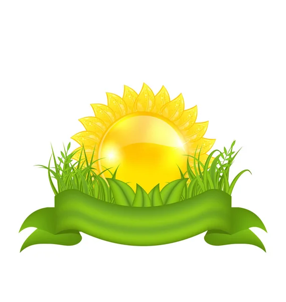 自然シンボル - 太陽、緑の葉、草、リボン — ストック写真