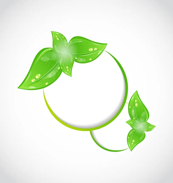 Abstraktní rám s eco zelené listy — Stock fotografie
