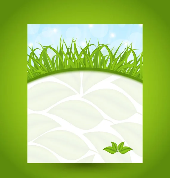 Cartão ecológico com grama verde e folhas ecológicas — Fotografia de Stock