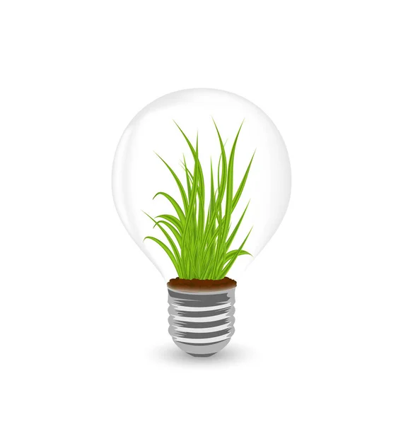 Lamp with grass inside isolated on white background — Stock Photo, Image