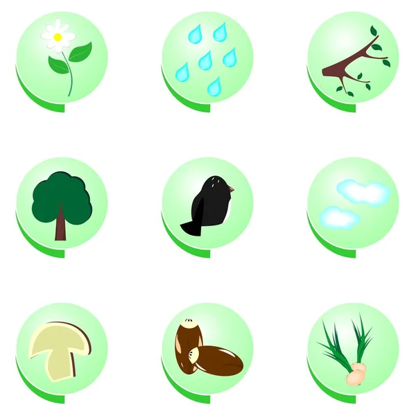 Eco icono conjunto sobre fondo blanco — Foto de Stock