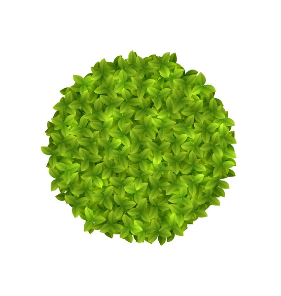 Eco dostu daire çerçeve içinde yeşil yaprakları yapılmış