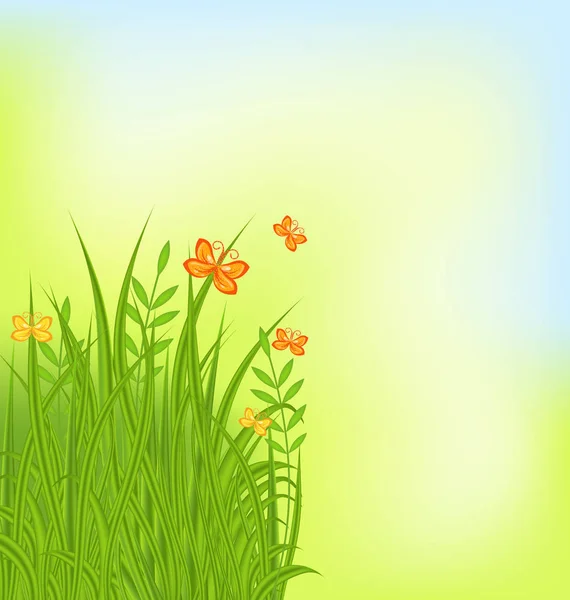 Sfondo estivo con erba e farfalla — Foto Stock