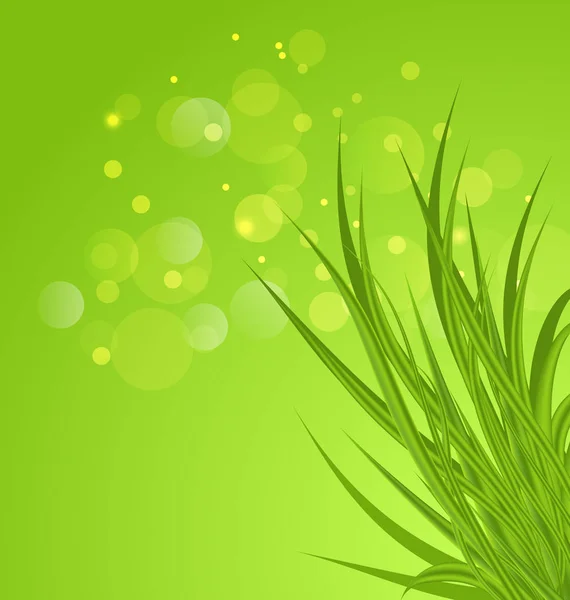 Spring background background with green grass — Stock Photo, Image
