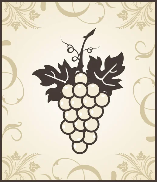 Retro engraving of grapevine — Stock Photo, Image