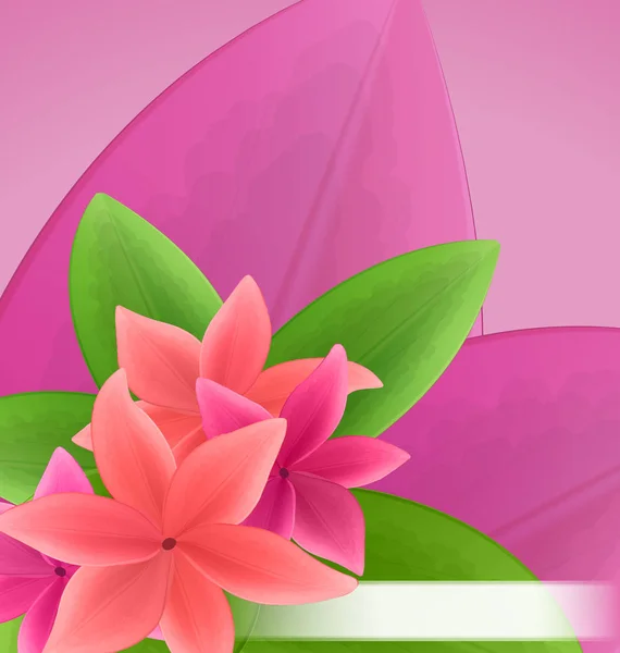 Ilustrace růžová a červená frangipani plumeria, exotické květiny — Stock fotografie