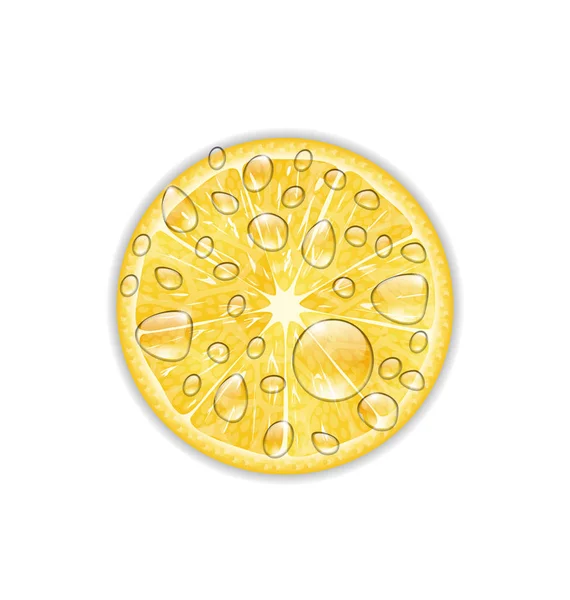 Foto fatia realista de limão — Fotografia de Stock