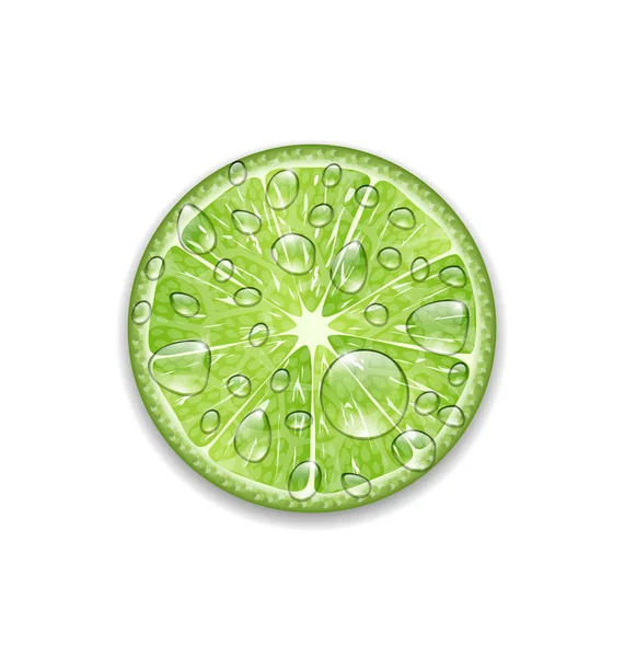 Succosa LIME. Illustrazione estremamente dettagliata, creata con amore per i dettagli . — Foto Stock