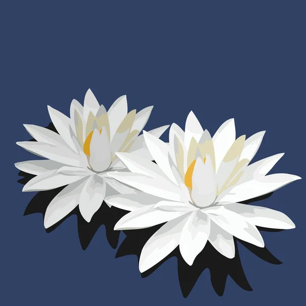 Lotus je izolovaná na modrém pozadí — Stock fotografie