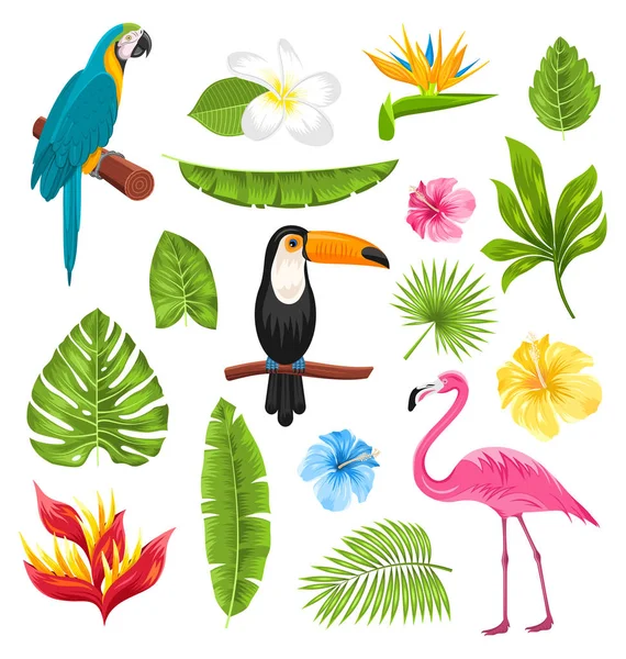 Zestaw kwiatów tropikalnych, egzotycznych ptaków i roślin — Wektor stockowy