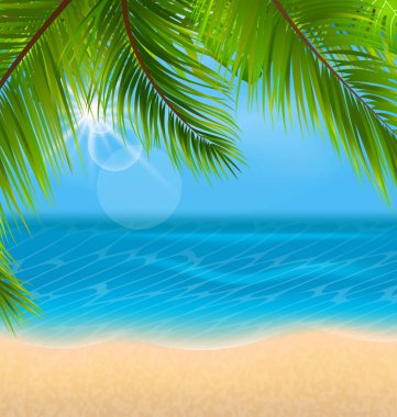 Palmiye yaprakları ve plaj ile doğal arka plan
