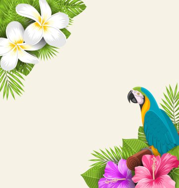 Egzotik papağan Ara, kenarlıklı Plumeria ve Hibiscus çiçek