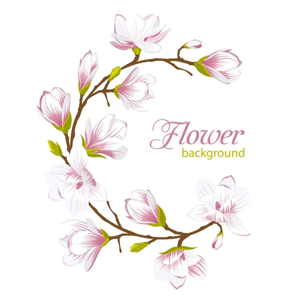 Kerek keret készült gyönyörű magnólia virág — Stock Vector