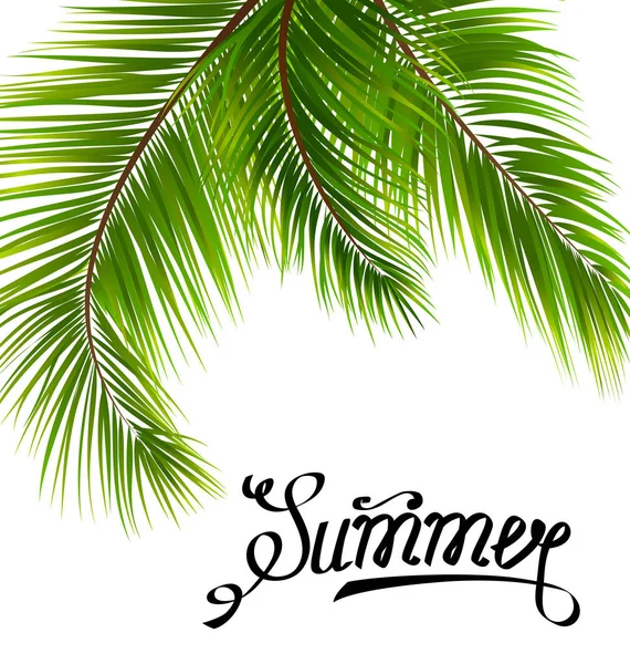 Lettering testo estate con foglie di palma — Vettoriale Stock