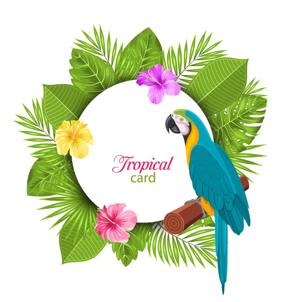 Tarjeta tropical con loro Ara, coloridas flores de hibisco — Vector de stock