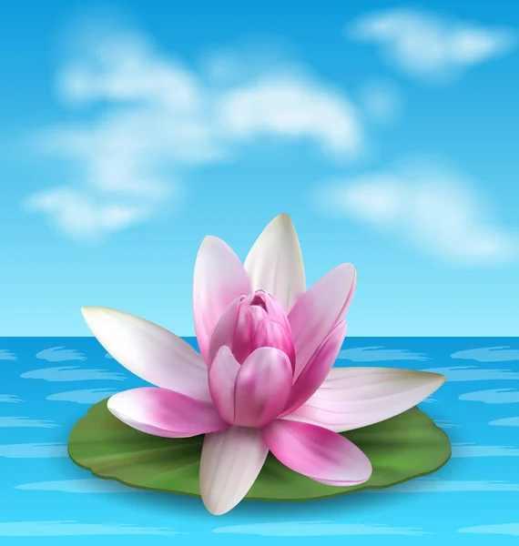 Leknín, Nenuphar, postřik dok, Růžový lotos na zelený list. Exotické květiny — Stockový vektor