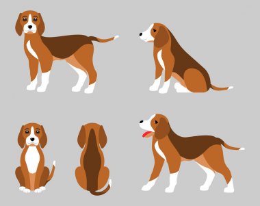 Köpek Beagle, basit düz stil çeşitli pozlar