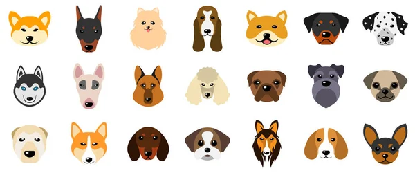 Set Heads of Dogs, Coleção Diferentes Raças de Caninos, Isolados em Fundo Branco —  Vetores de Stock