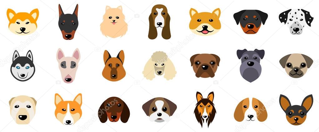 Set Heads of Dogs, Collection Different Breeds of Canines, Isolated on White Background